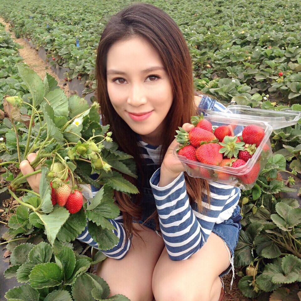 11849862_410549895807717_1636767560_n