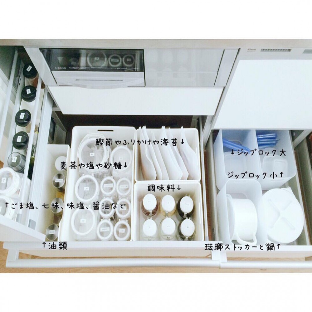 16110617_250250172084110_2723304252607823872_n