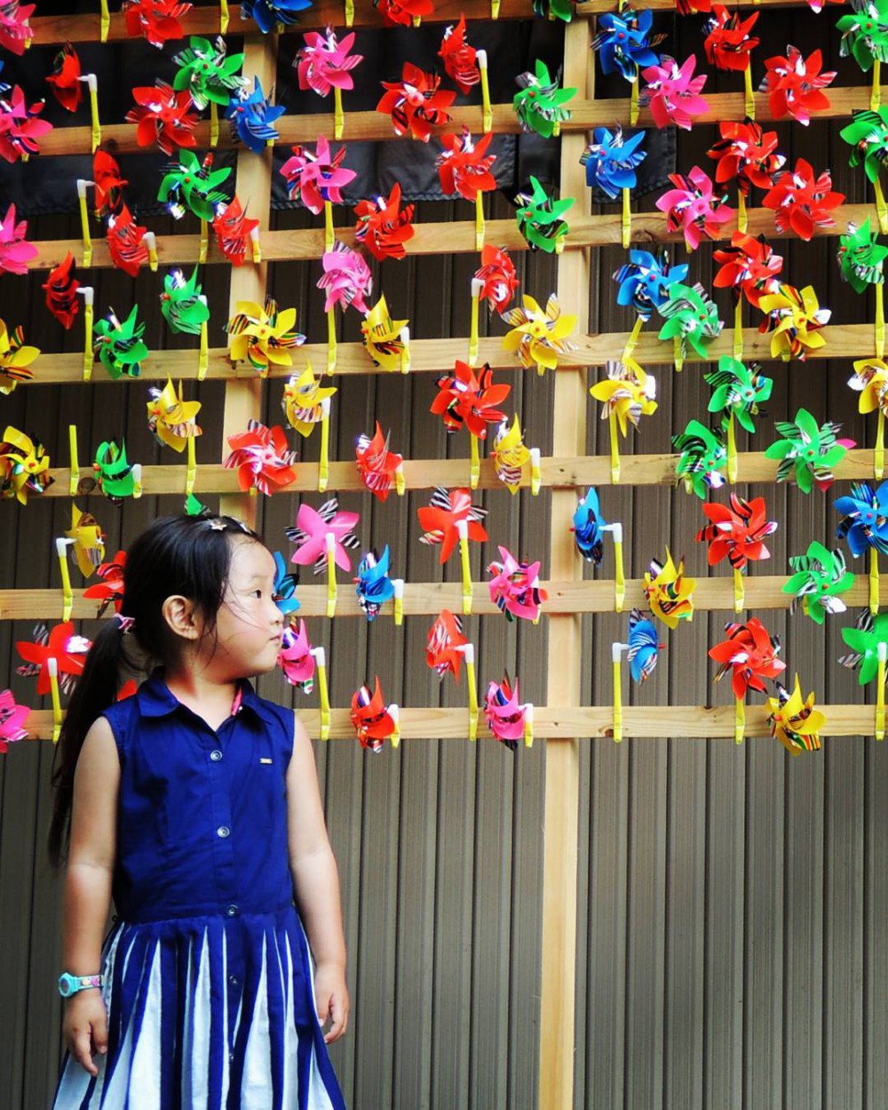 20987522_159500337938756_8417706188682035200_n