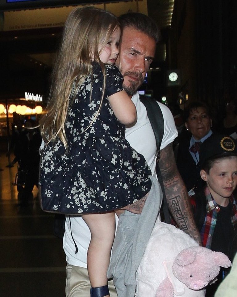 21433436_438049329929637_7771914635472535552_n