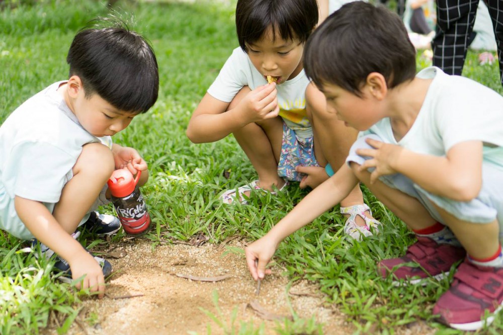 20414032_2030434100510339_548718215869165859_o