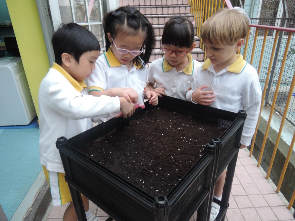 2b6ad0877d99df4a1ff8ae6ed6660d58