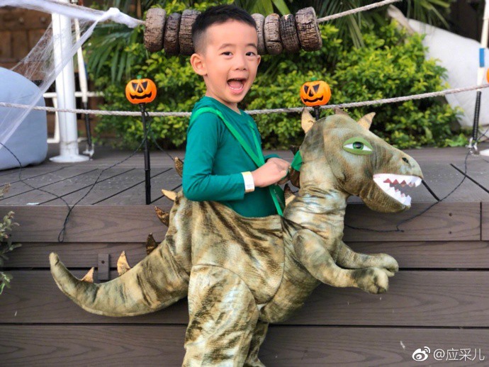 4ab6c391gy1fl0c1ra0cdj20zk0qownd