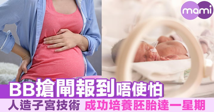 BB搶閘報到唔使怕 人造子宮技術成功培養胚胎達一星期