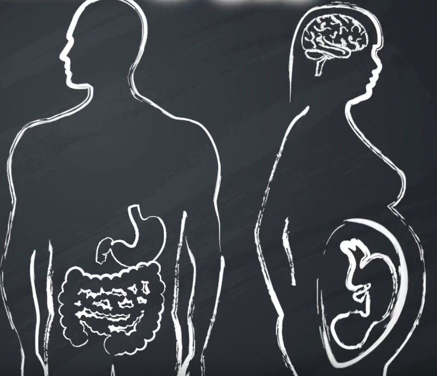 Screen Shot 2017-10-16 at 4.21.04 PM