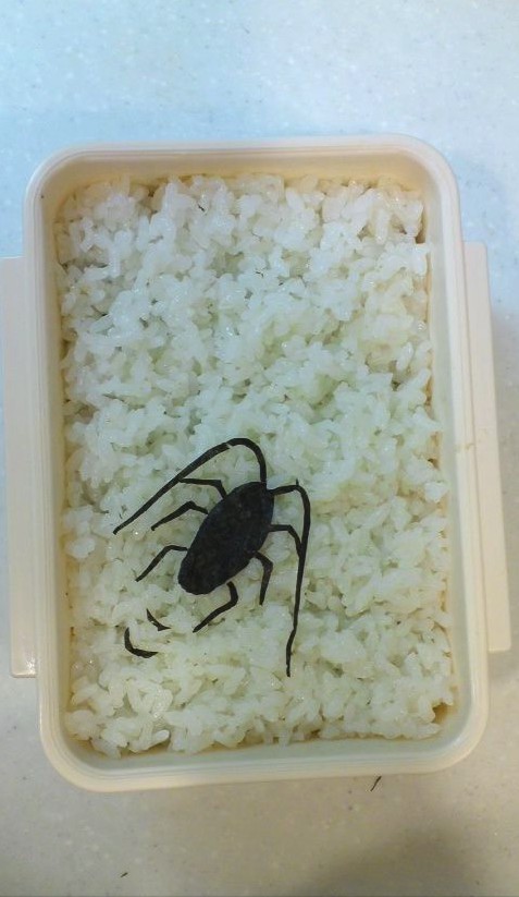 Screen Shot 2017-10-17 at 11.57.12 AM