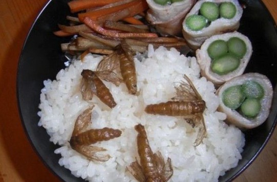 Screen Shot 2017-10-17 at 11.57.51 AM