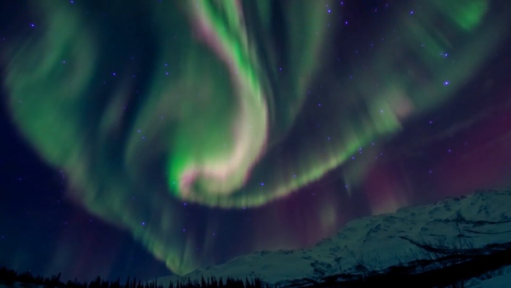 Screen Shot 2017-10-20 at 3.32.42 PM