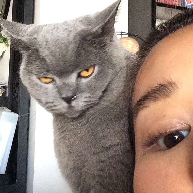 10547083_299513763554546_2144700349_n