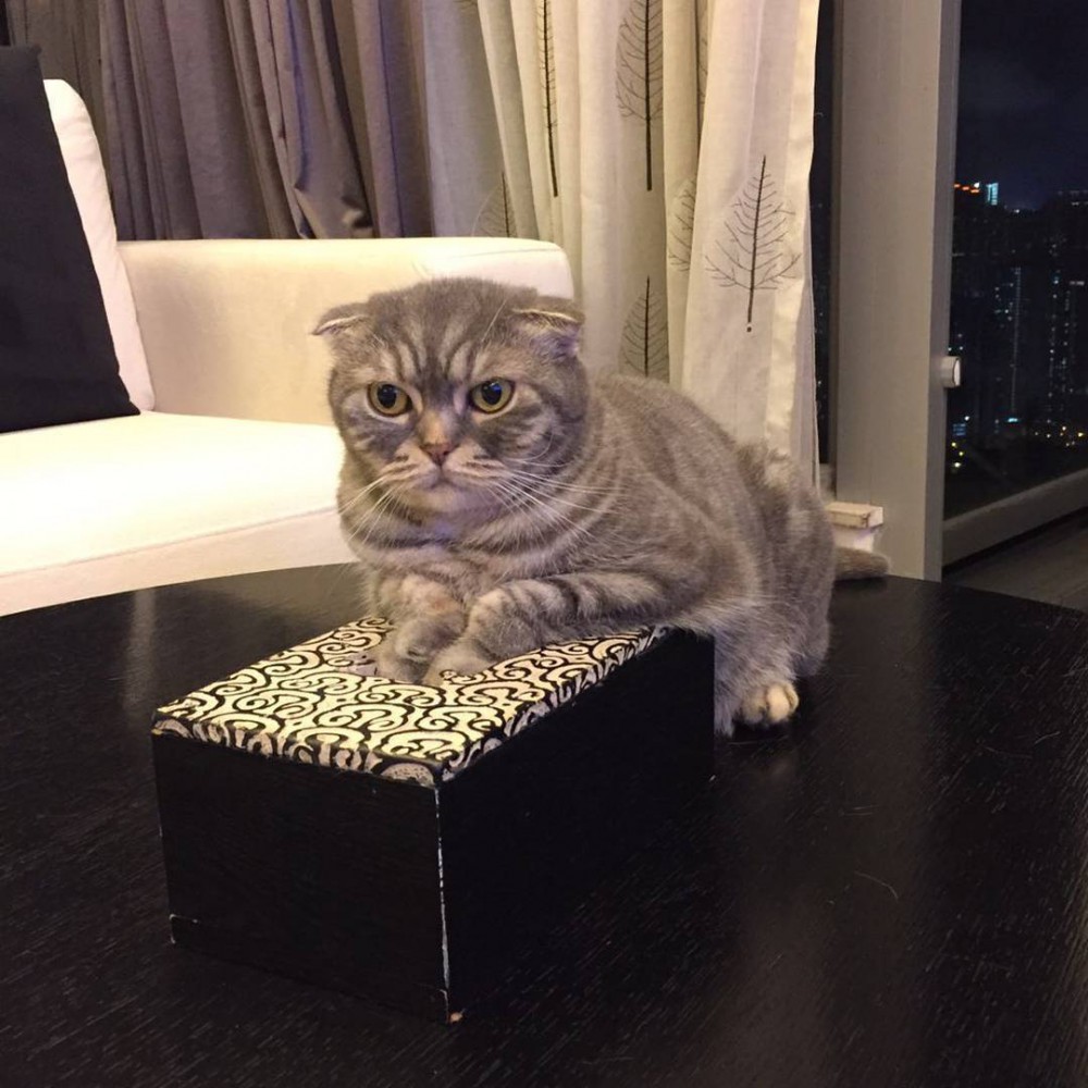 13414123_1259782084035016_1521116603_n