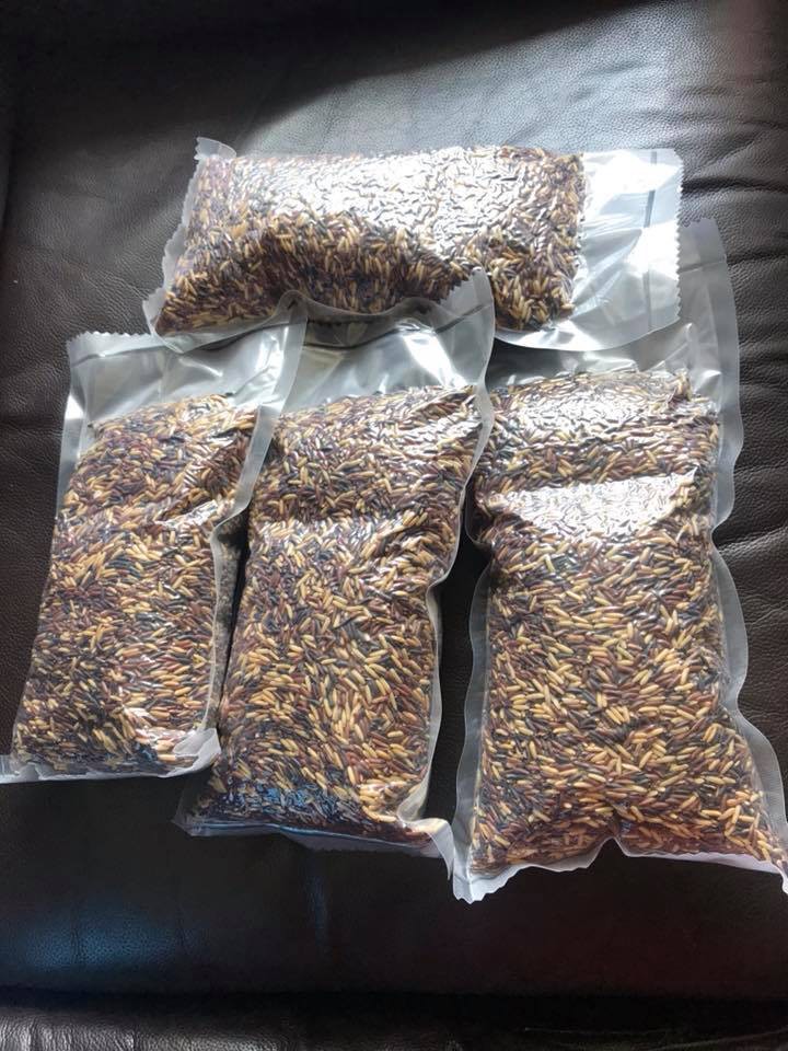 30629982_438287329955132_3710667388501174424_n