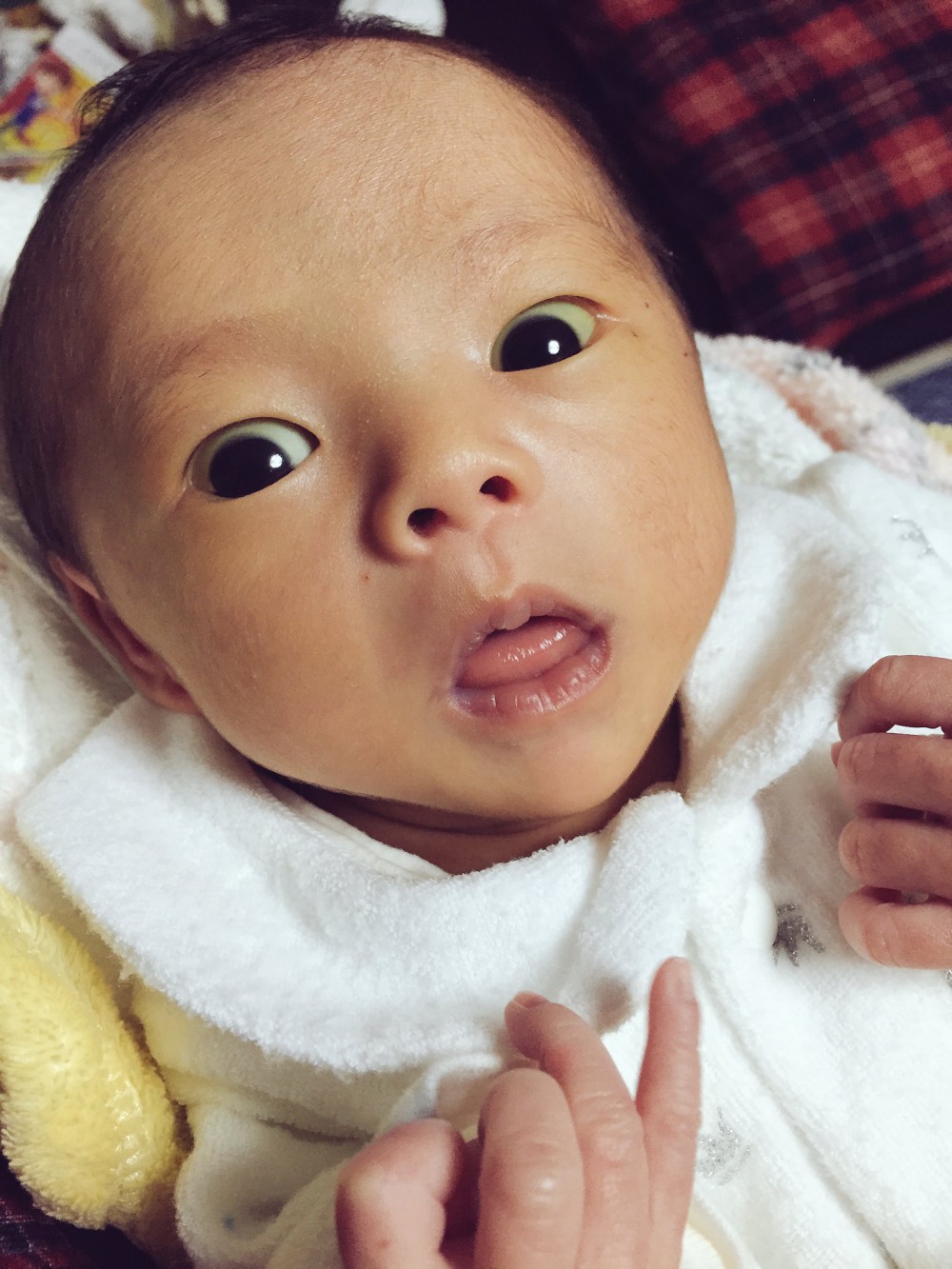 DNEUbHSUEAAGsY8.jpg-large