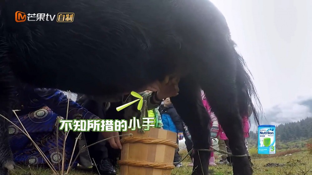 Screen Shot 2017-11-17 at 3.43.43 PM