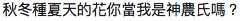 Screen Shot 2017-11-23 at 12.00.07 PM