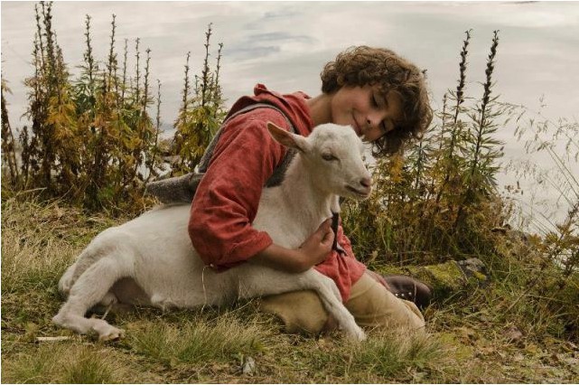 Screen Shot 2017-11-30 at 1.36.52 PM