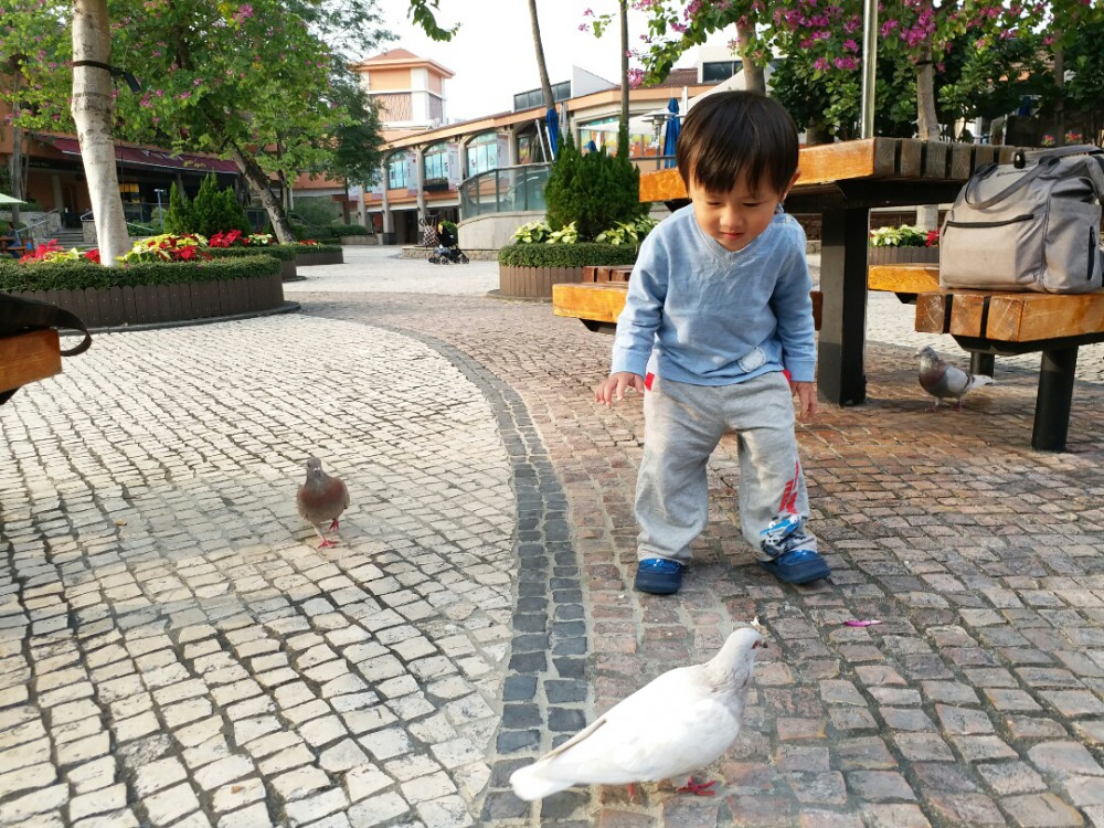 a162ffc6-064f-4f06-a703-1dee141b8e23