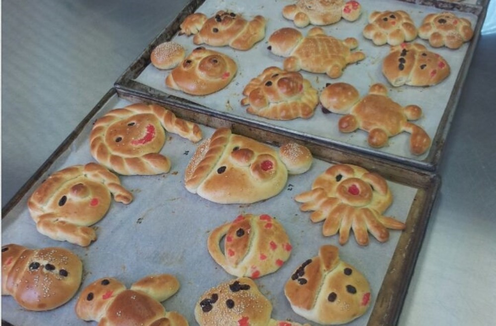 1e0196b207a36a2e11aa718779b01b93