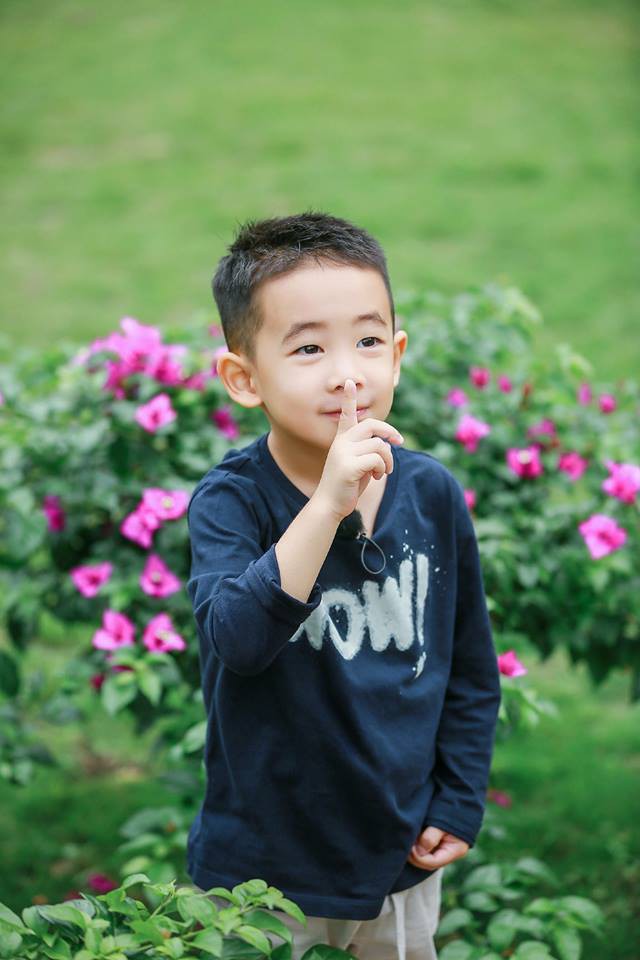 22308671_799768840193076_6040520943219032181_n