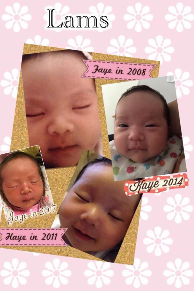 24231935_1915955685399309_3279137704652930073_n