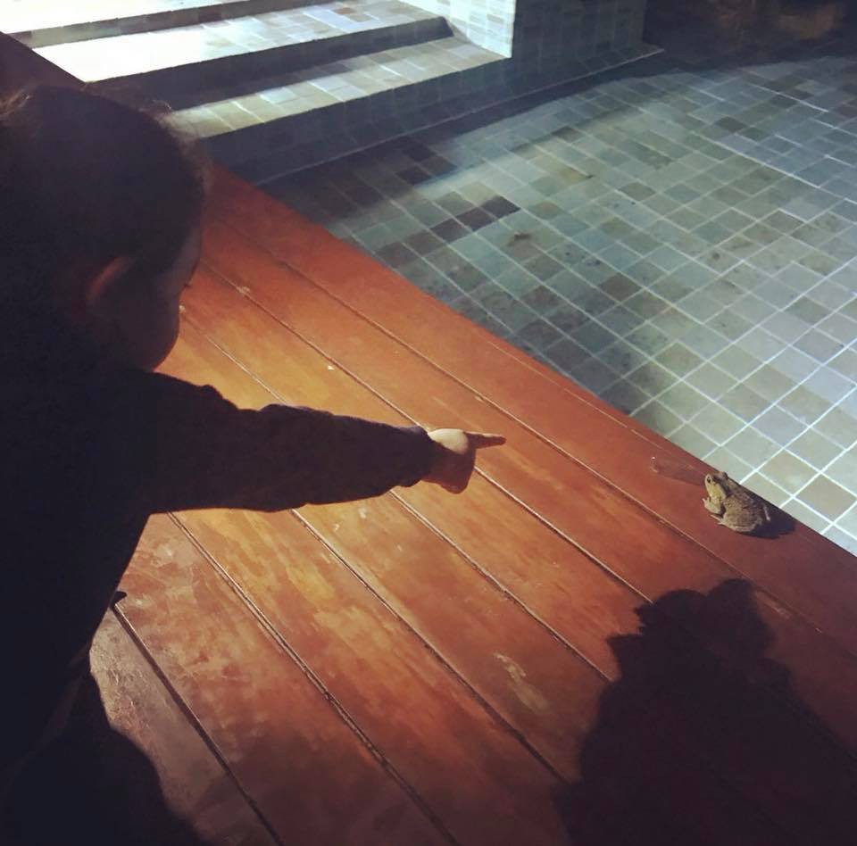 26219726_10214404792092207_8906165814331307201_n