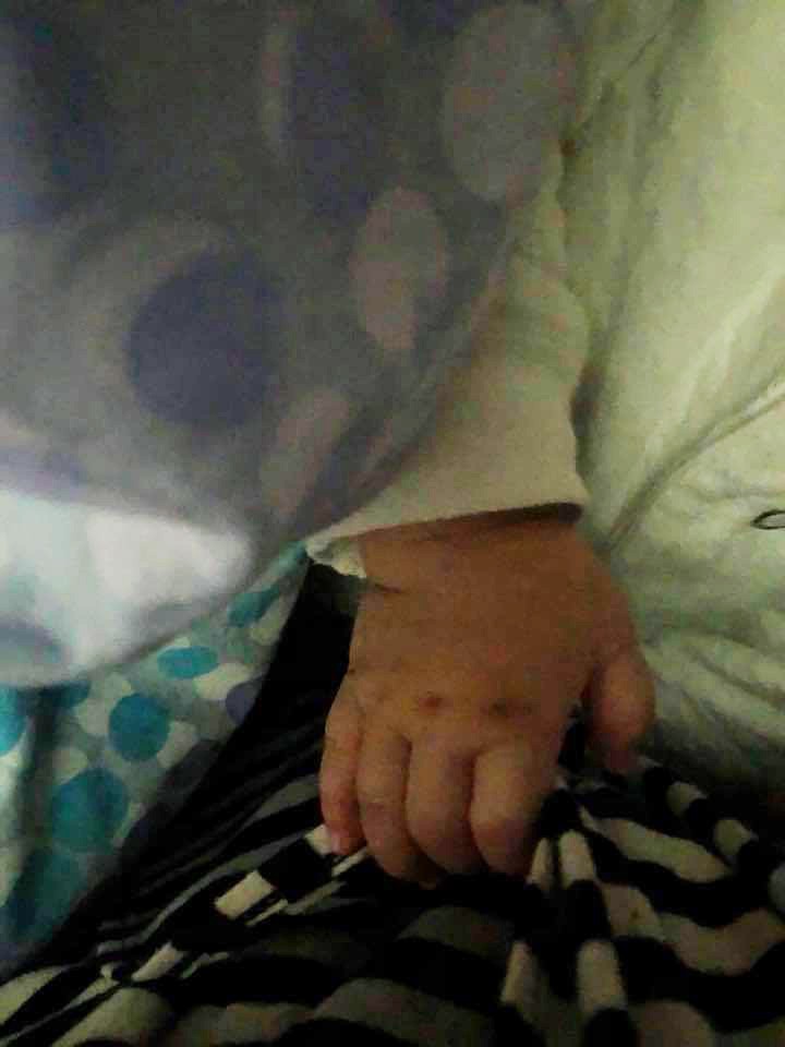 26815126_1944785505849660_7511661279419451379_n