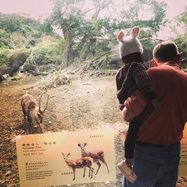 Screen Shot 2018-01-31 at 5.51.16 PM