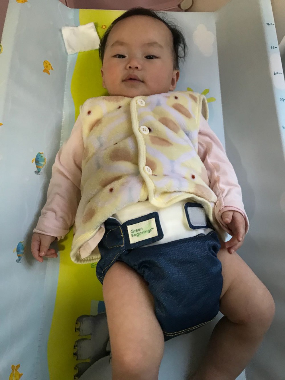 WhatsApp-Image-2018-01-21-at-6.29.17-PM