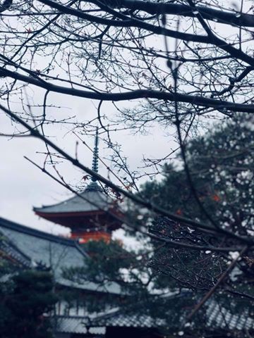 26169491_10155203505761439_9077799211733054911_n