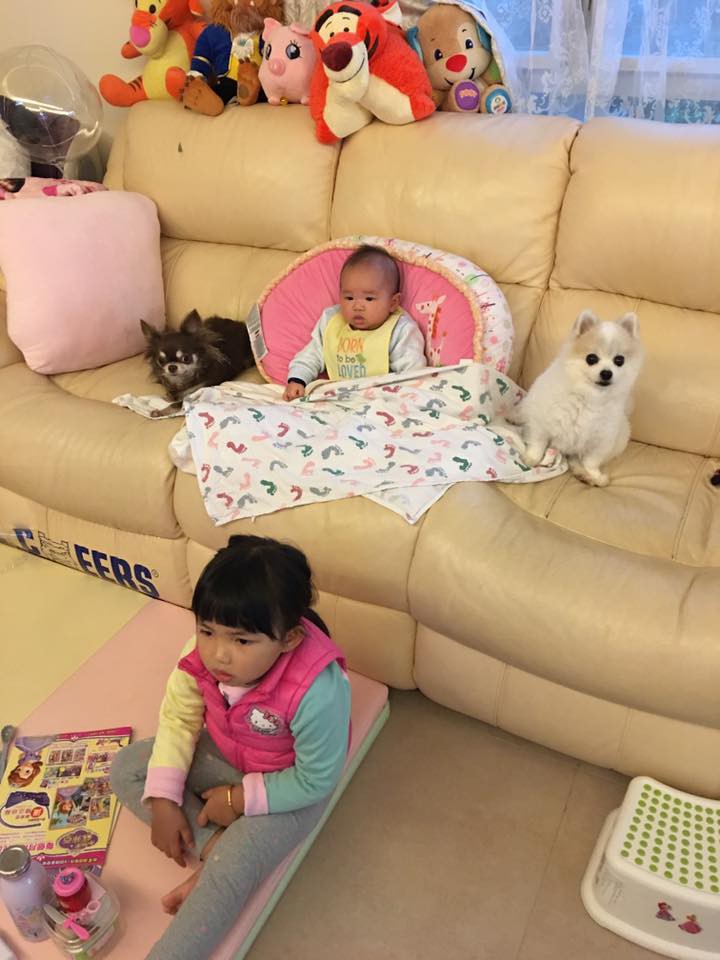 27336574_1848921335399967_64568576264957851_n