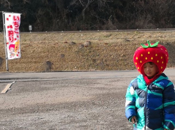 Screen Shot 2018-02-15 at 12.14.32 PM