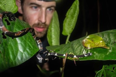 shrine20180116-15009-fx7zej