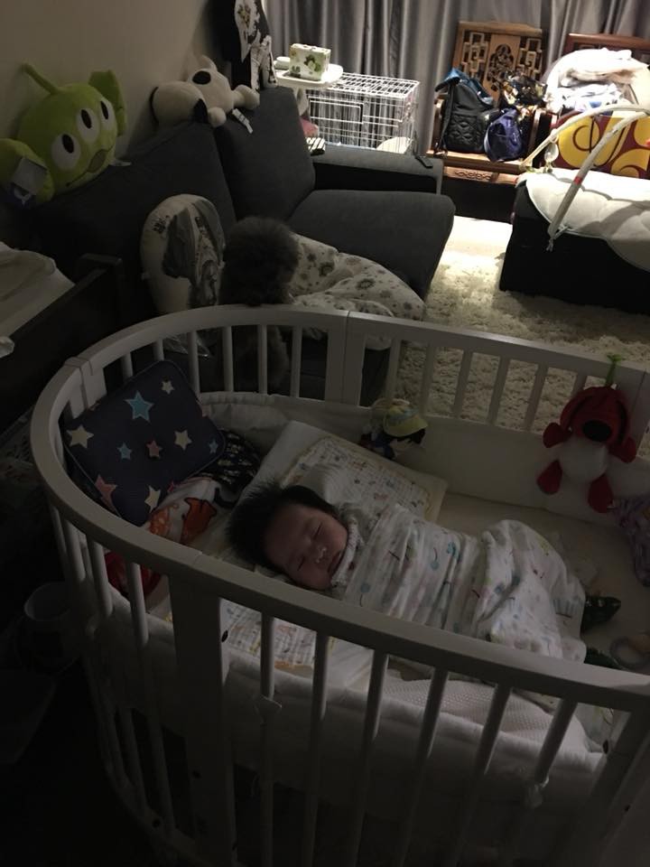 22555312_1681799385206202_847044668822036453_n