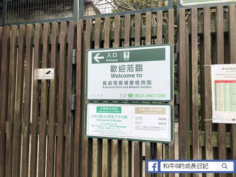 26217_15191825081XY0