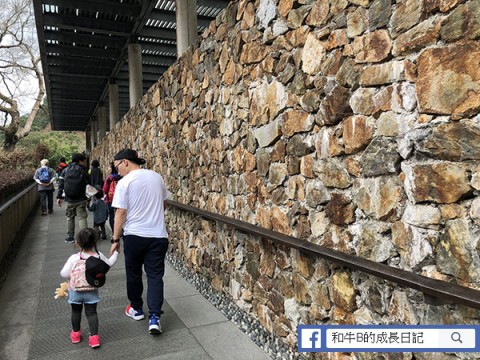 26217_1519182508w1Io