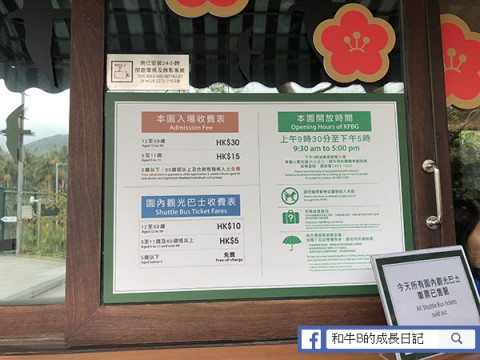 26217_1519182509GBFf