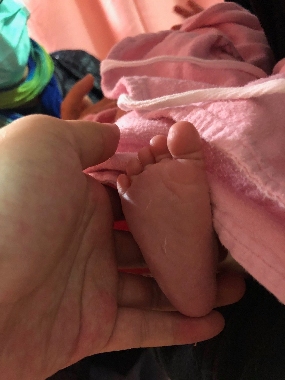 28822470_870443006462081_665477514_o