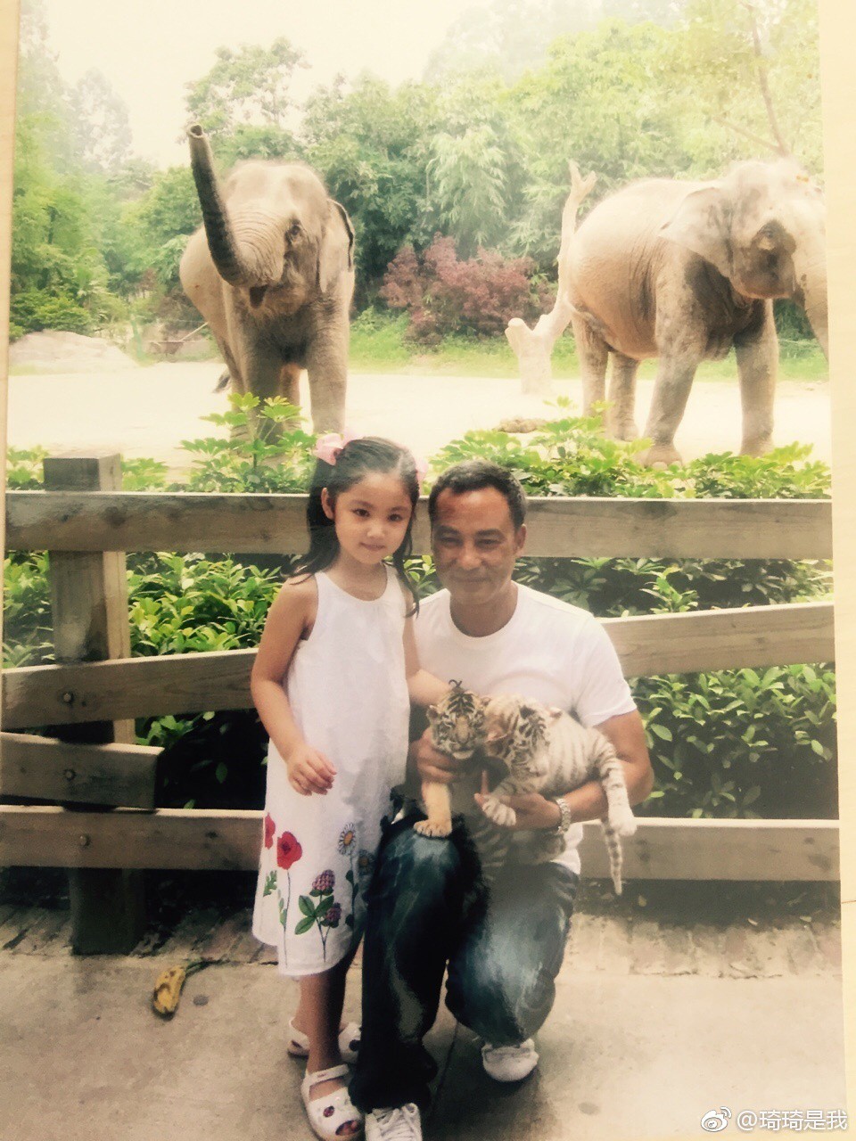 661a9136gy1fgoqb4463lj20qo0zkqbb