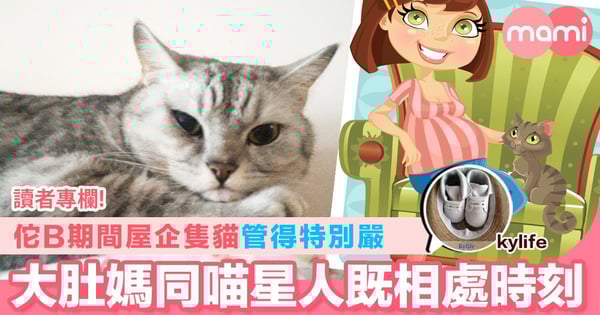 【佗B期間屋企隻貓管得特別嚴 大肚媽媽同喵星人既相處時刻】