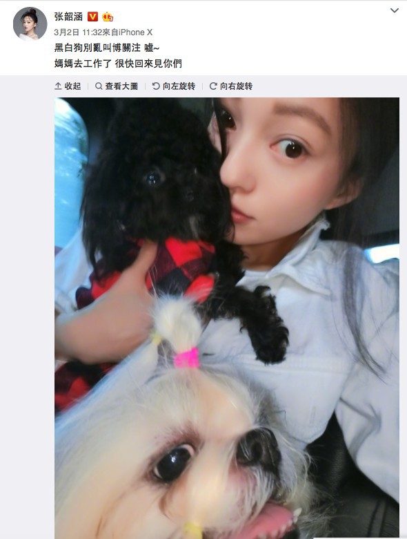 Screen Shot 2018-03-06 at 12.32.35 PM