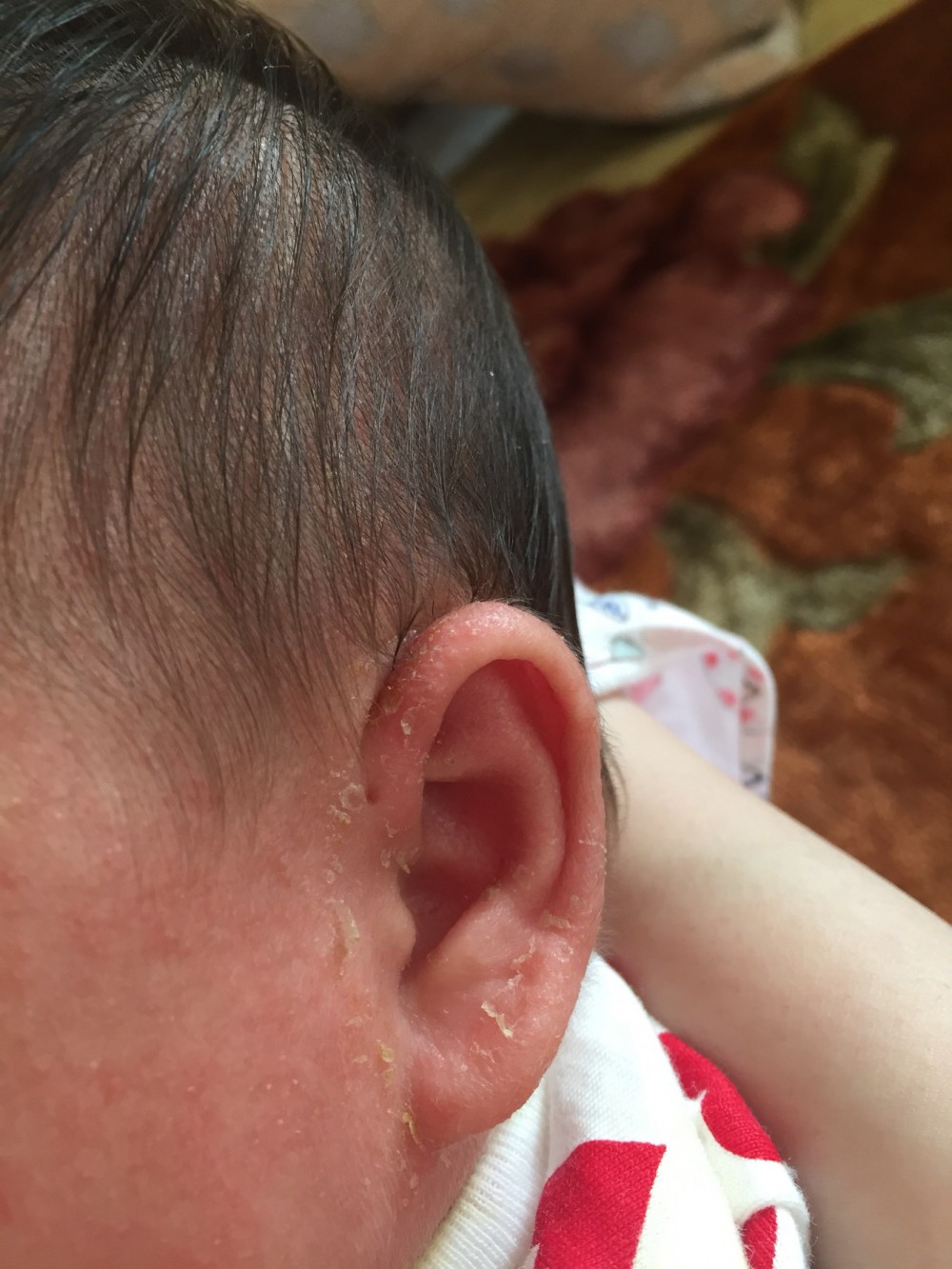 b405687bf955066e29cf4772fb6cd8f5