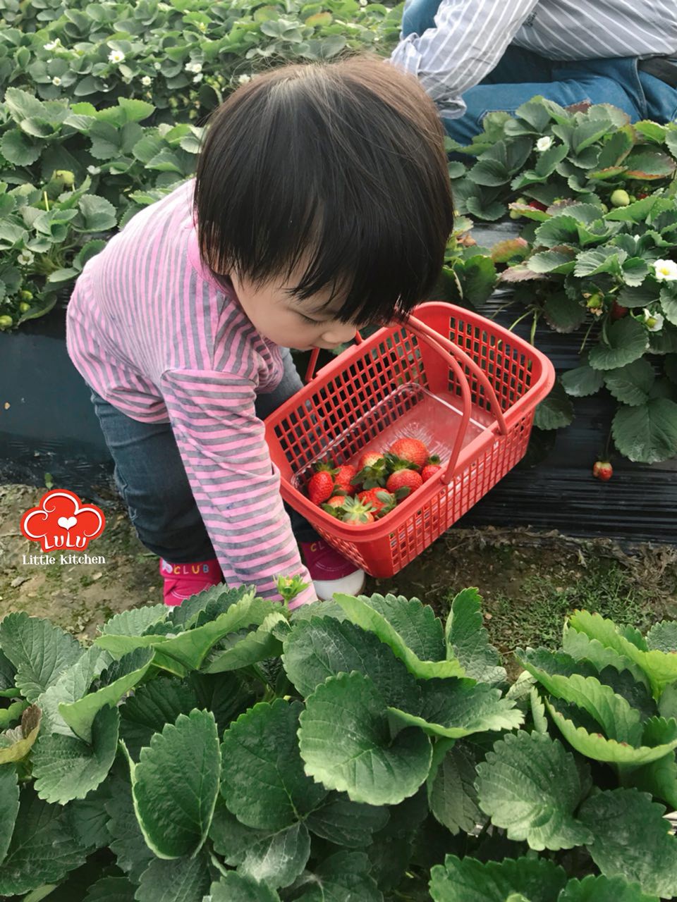 photo6106942556152637453