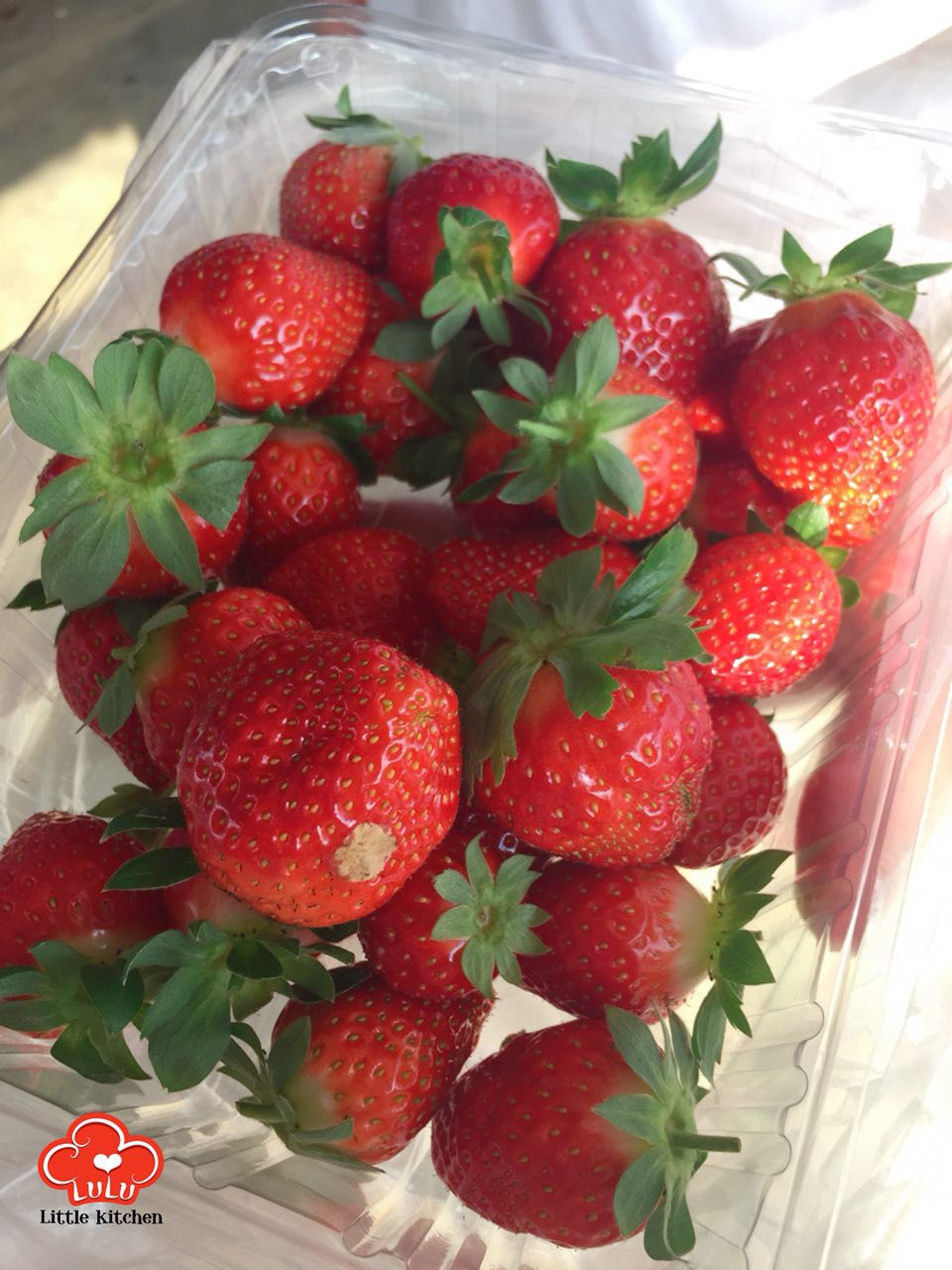 photo6106942556152637456