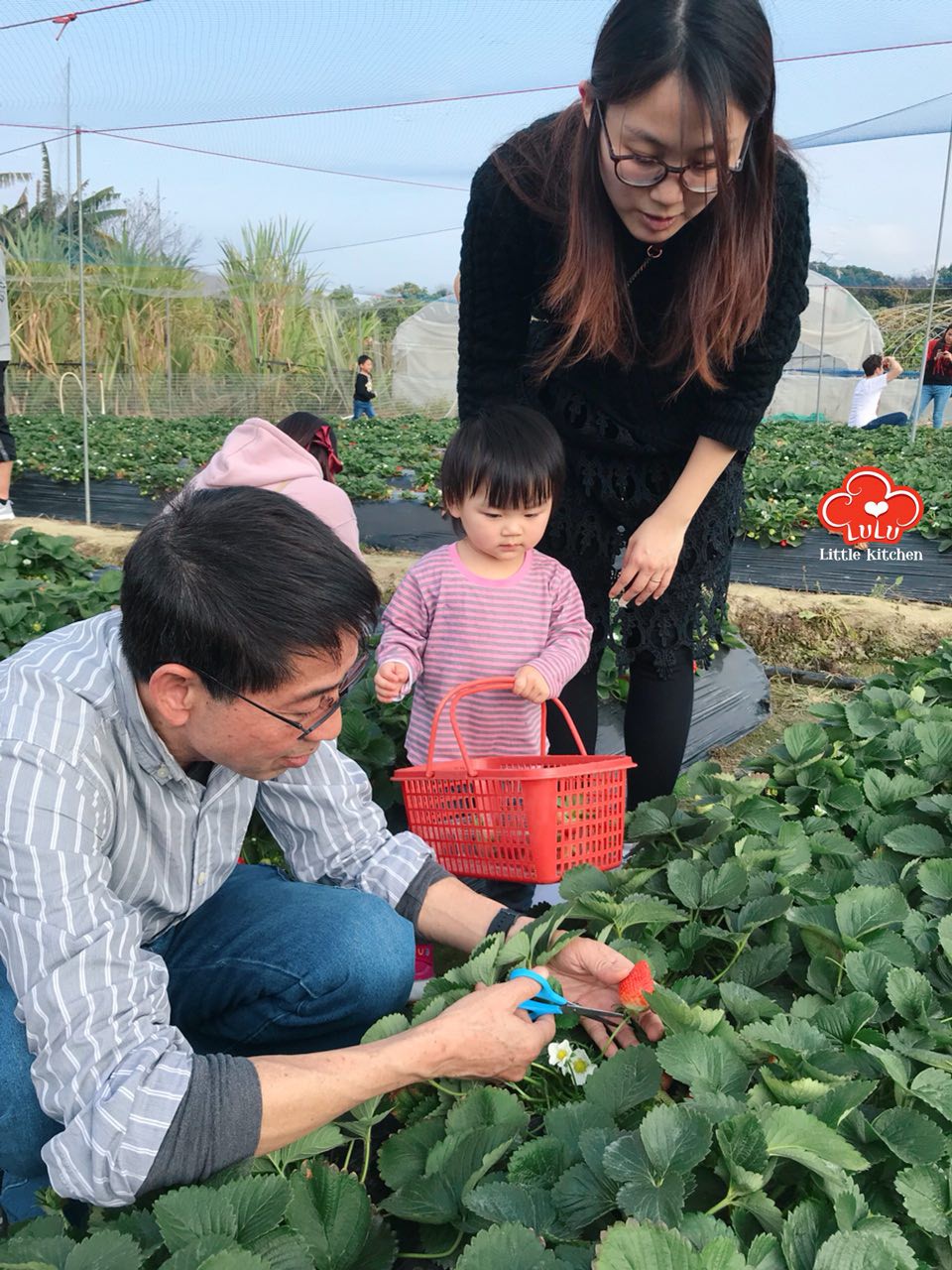 photo6106942556152637458