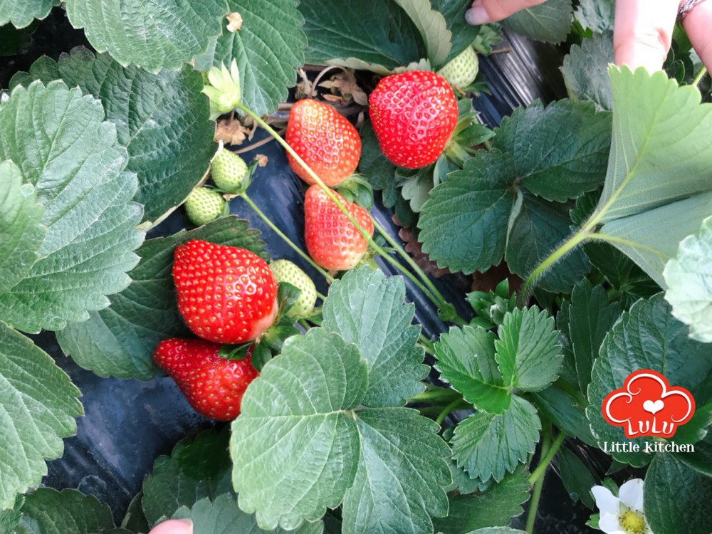 photo6106942556152637459