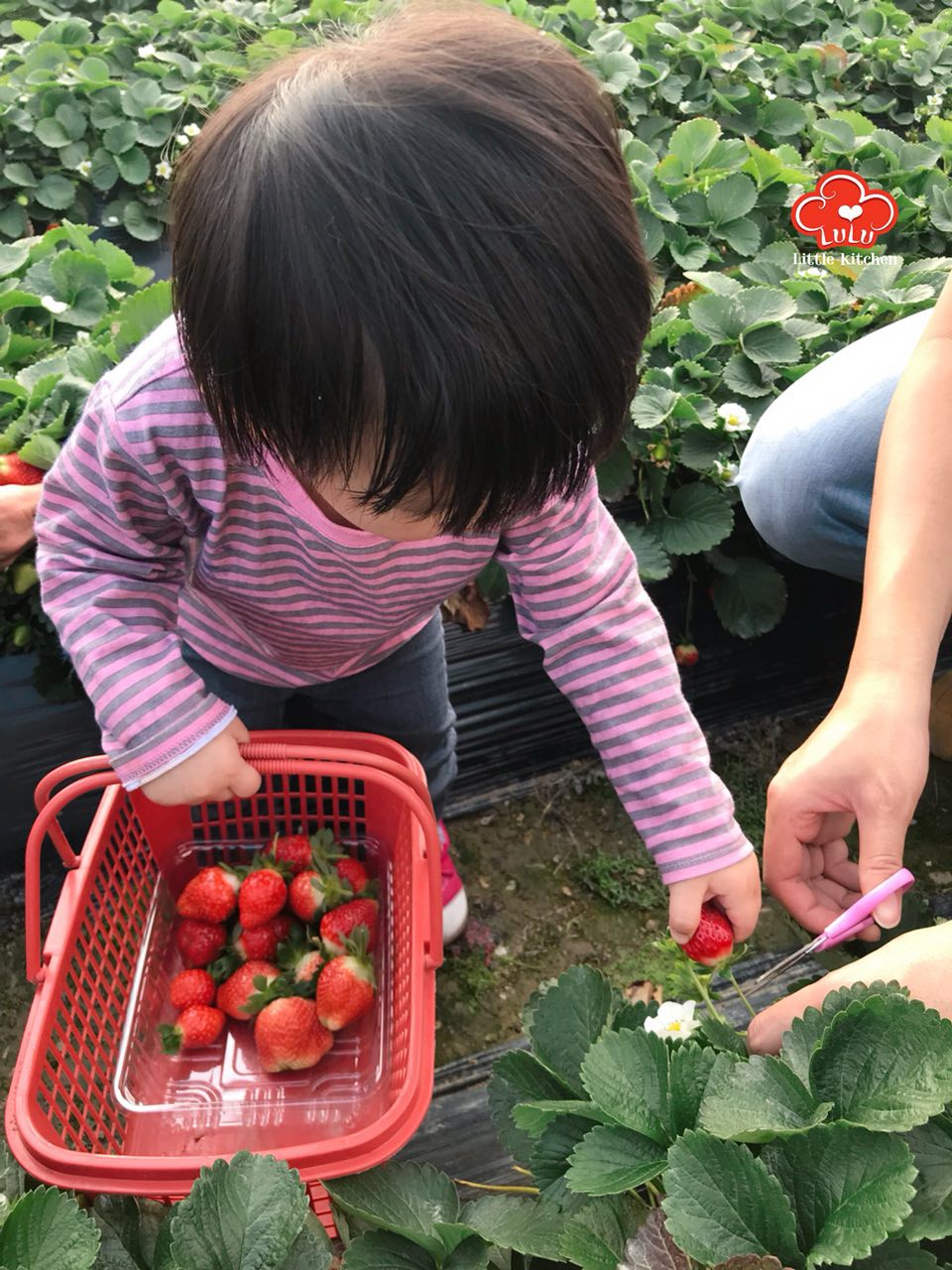 photo6106942556152637460