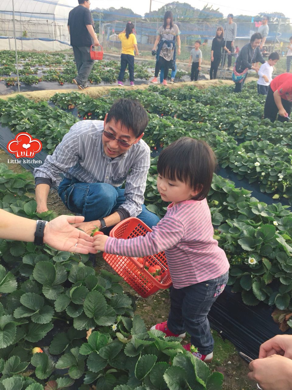 photo6106942556152637463