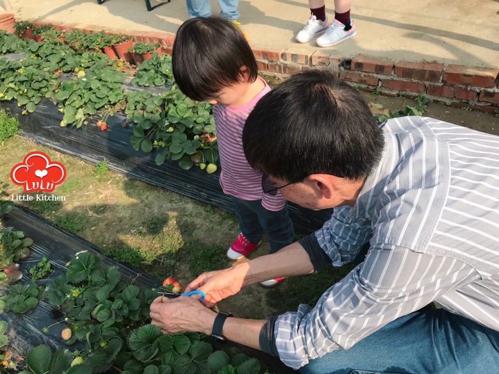 photo6106942556152637464