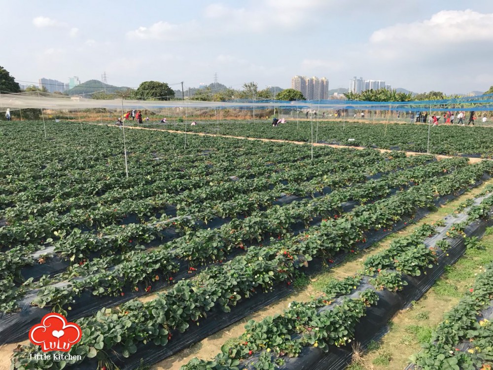 photo6106942556152637466