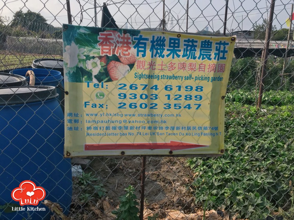 photo6106942556152637467