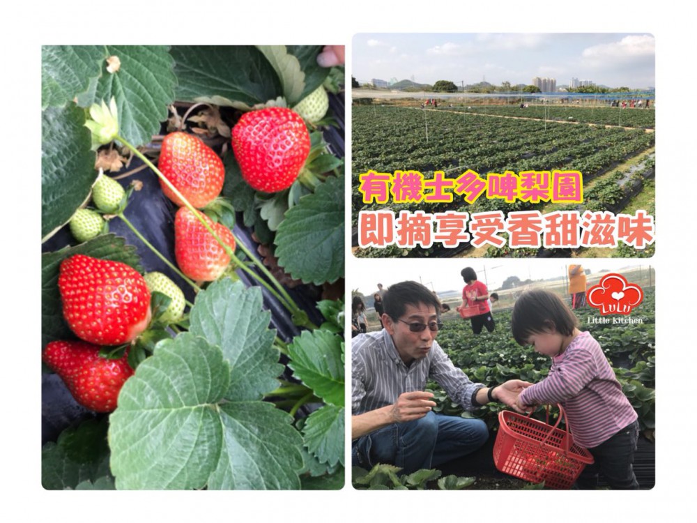 photo6113644152538376170